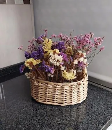 Lägenhet Guiki House